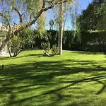 Spectacular Luxury 3000 Square Ft House On 1/3 Of Acre