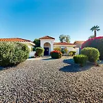 Palm Desert Dove