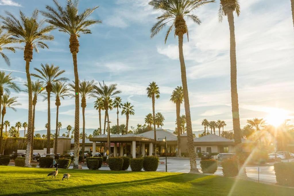 Large Studio In Marriott's Desert Springs Apartment