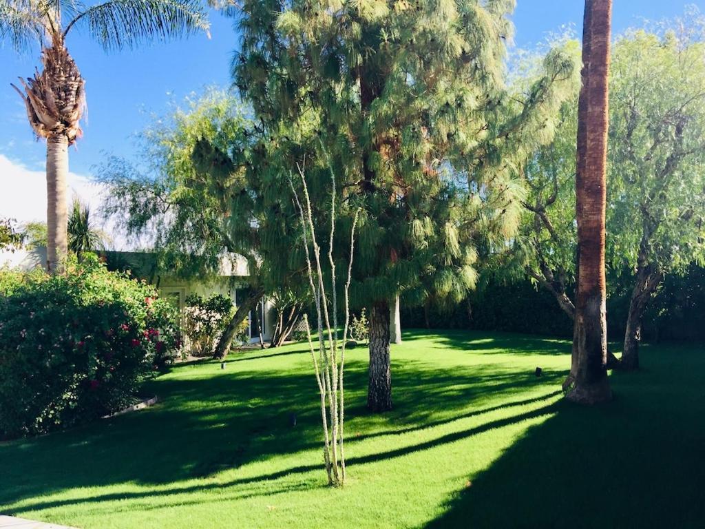 Spectacular Luxury 3000 Square Ft House On 1/3 Of Acre *
