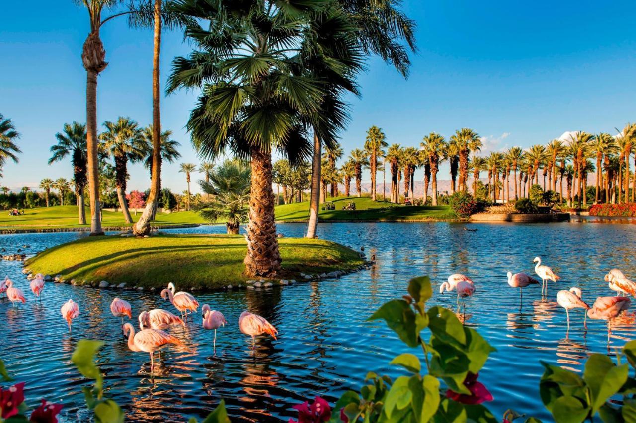 Jw Marriott Desert Springs & Hotel Palm Desert