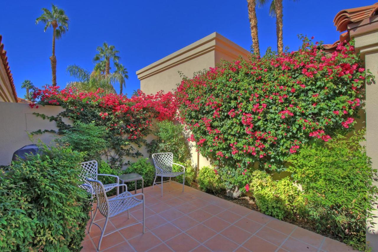 Vy559 - Violet Circle * Palm Desert