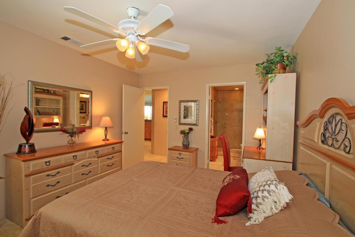 Vy630 - Desert Hock Palm Desert