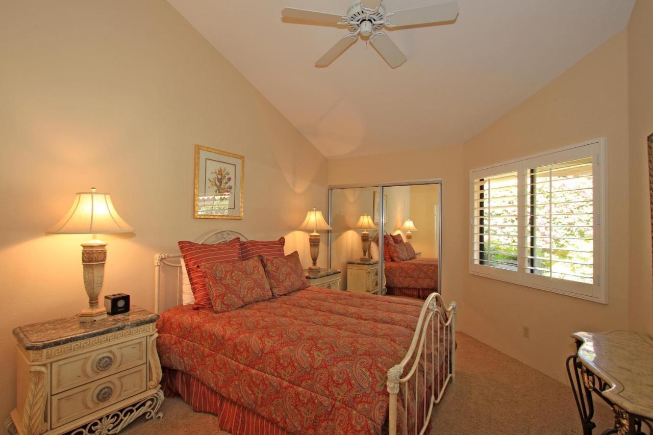 Vy559 - Violet Circle Palm Desert