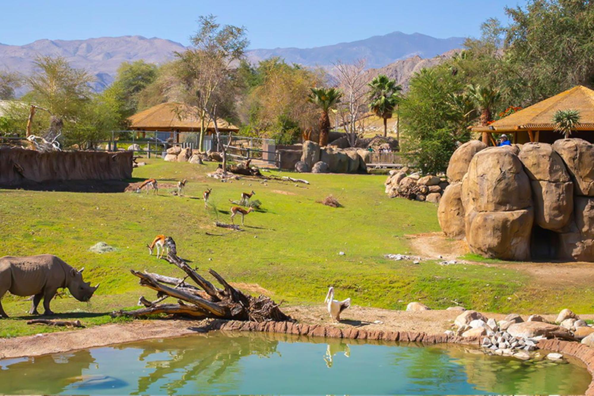 Apartment Ridgecrest Retreat Palm Desert