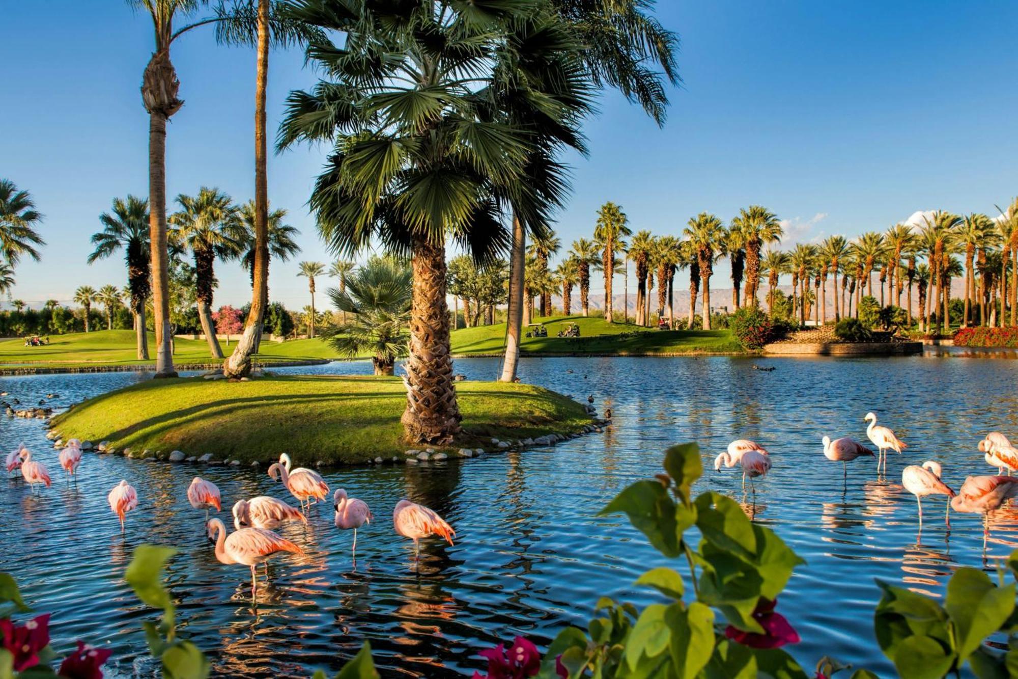 Jw Marriott Desert Springs & 5*