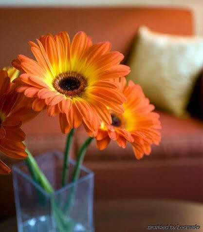 Courtyard Hotel 3*