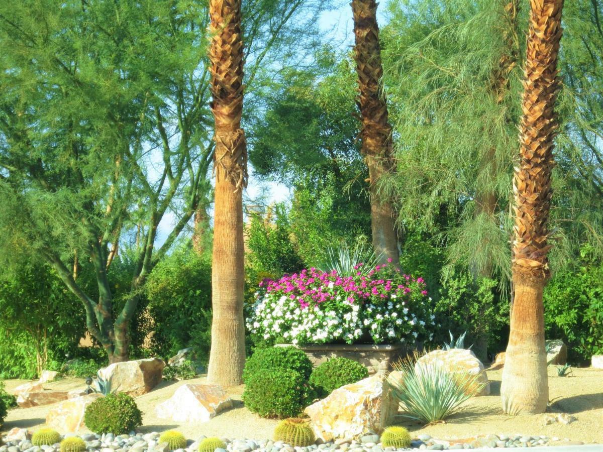 Zen Pool - Pool - Jaccuzzi - Ironwood -