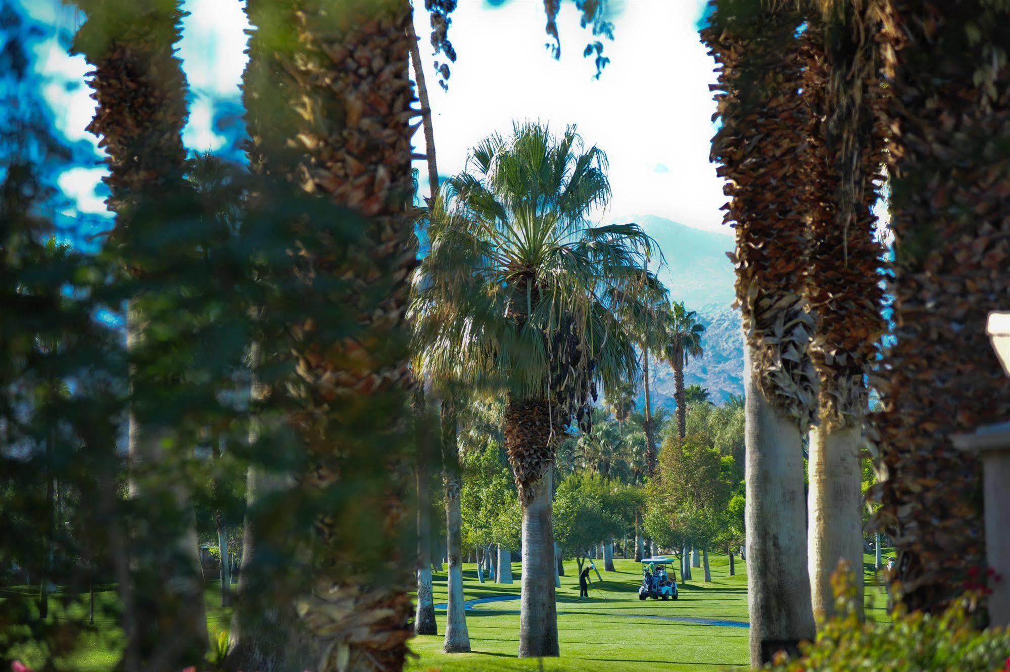 Shadow Mountain Palm Desert